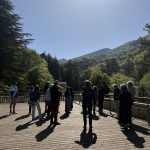 IMG_1493